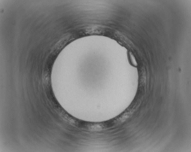 X0000068310513200605192011