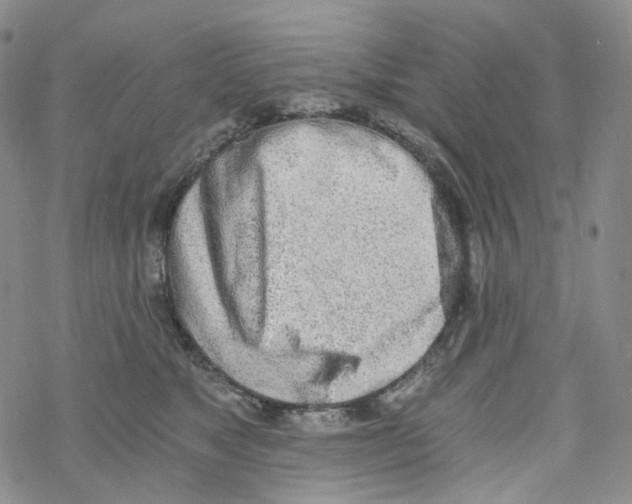 X0000068310517200605192011