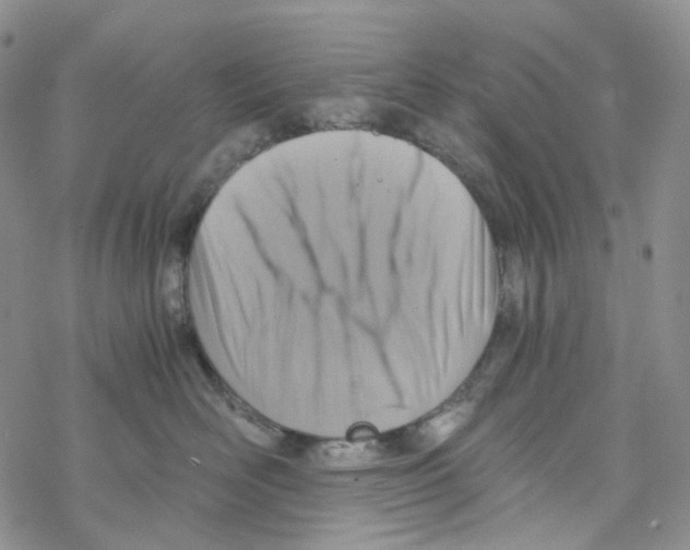 X0000068310526200605192011