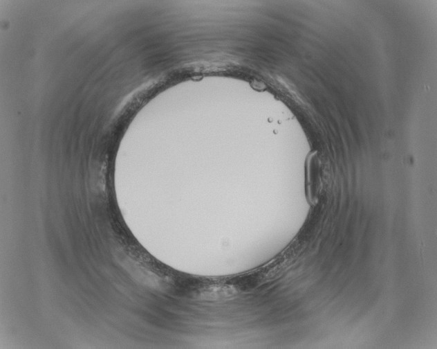 X0000068310543200605192011