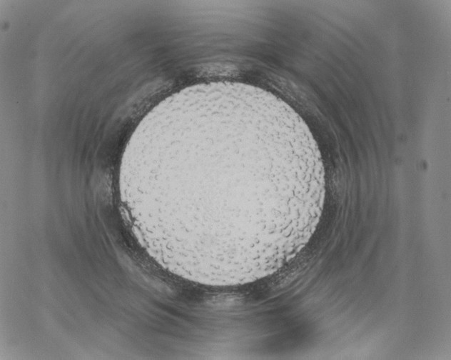 X0000068310551200605192011