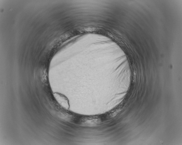 X0000068310555200605192011