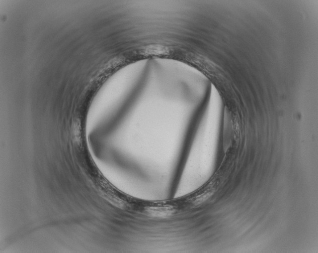 X0000068310556200605192011
