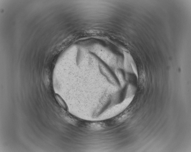 X0000068310566200605192011