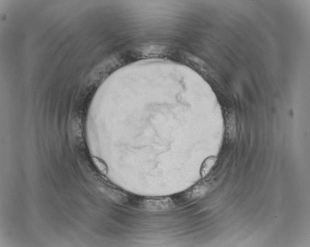 X0000068310571200605192011