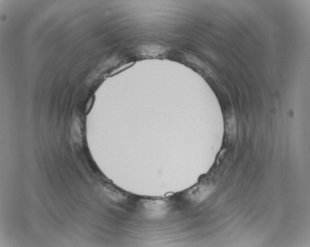 X0000068310572200605192011