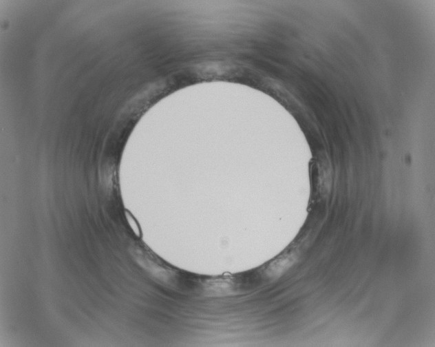 X0000068310574200605192011