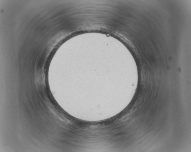 X0000068310584200605192010