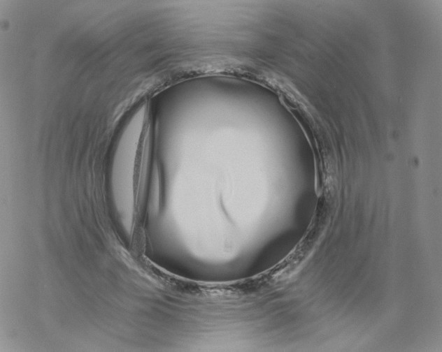 X0000068310585200605192010