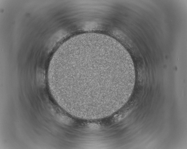 X0000068310592200605192010