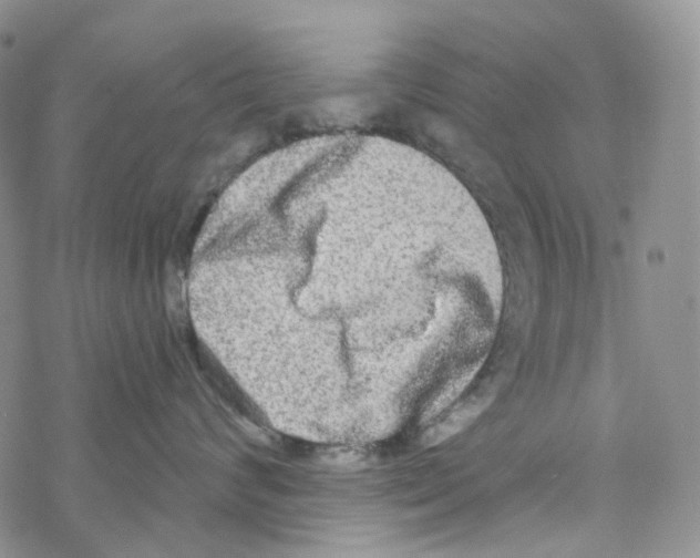 X0000068310624200605192010