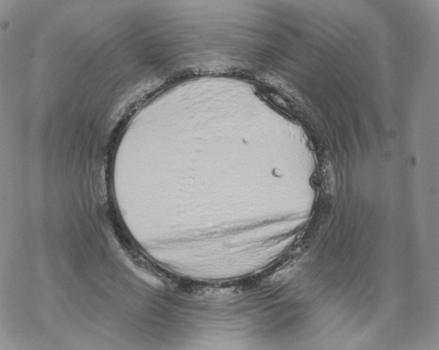 X0000068310638200605192009