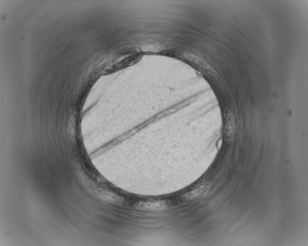 X0000068310639200605192009