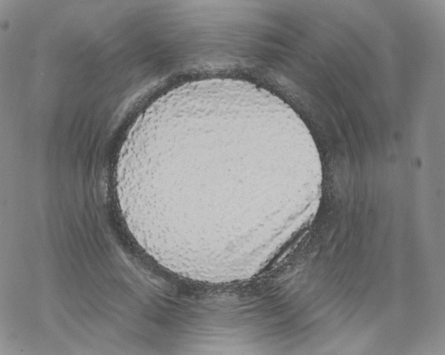 X0000068310640200605192009