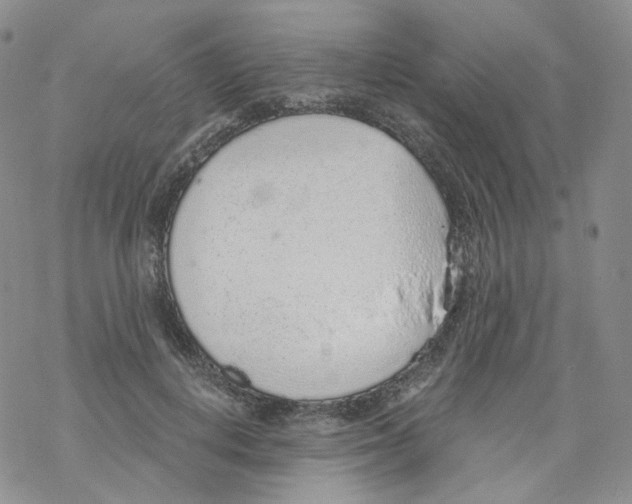 X0000068310648200605192009