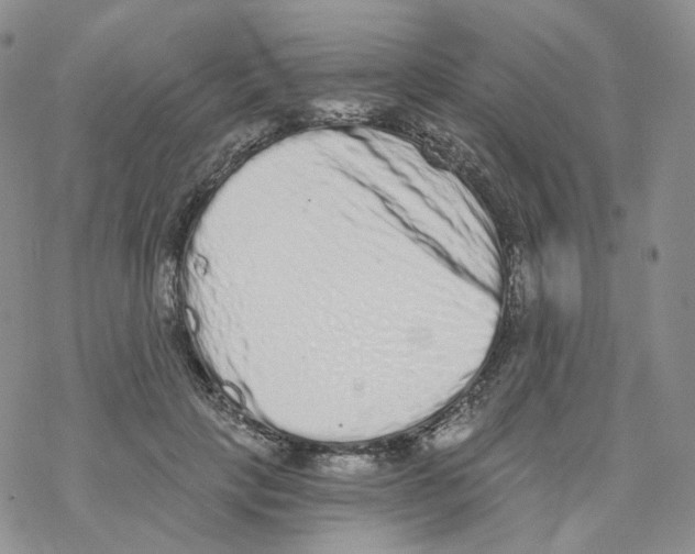 X0000068310649200605192009