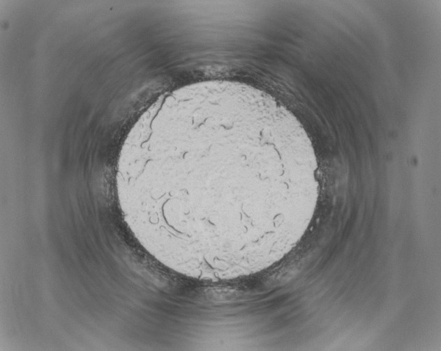 X0000068310650200605192009