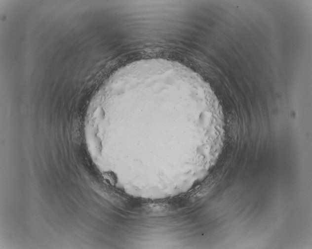 X0000068310654200605192009
