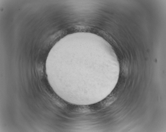 X0000068310668200605192009