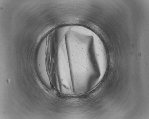 X0000068310677200605192009