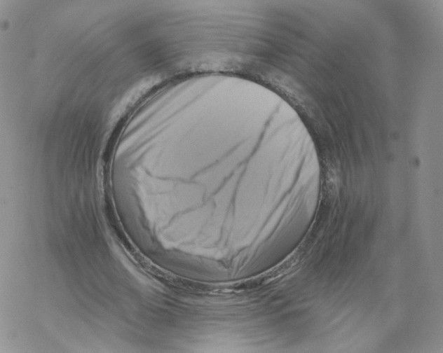 X0000068310678200605192009