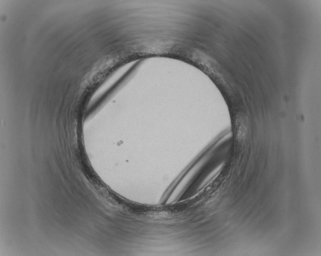 X0000068310685200605192009