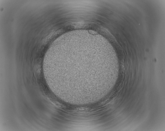 X0000068310691200605192008