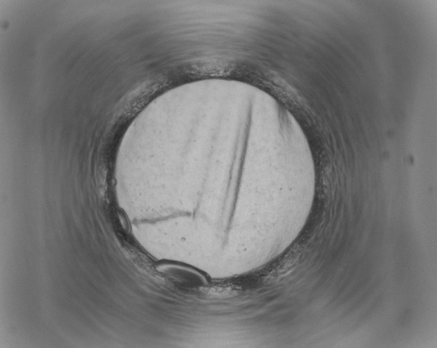 X0000068310693200605192008