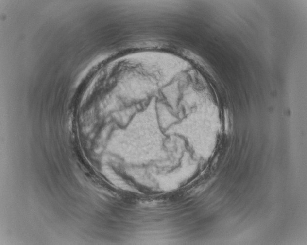 X0000068310723200605192007