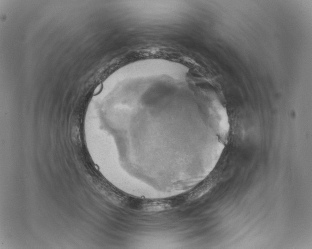 X0000068310754200605192008