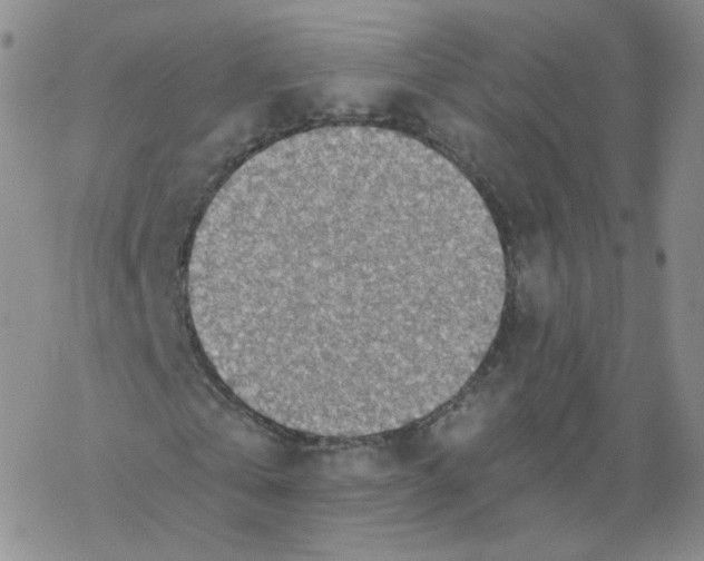 X0000068310769200605192007