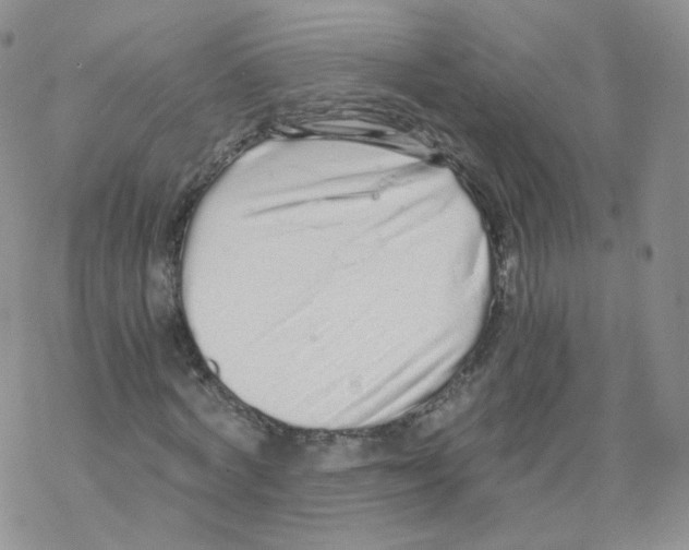 X0000068310772200605192007