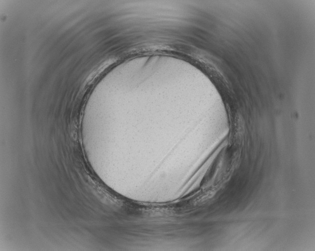 X0000068310785200605192007