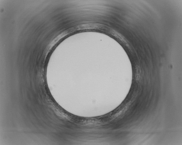 X0000068310786200605192007