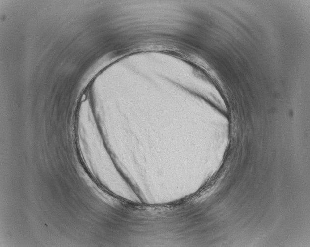 X0000068310803200605192007