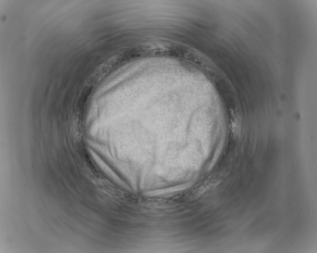 X0000068310819200605192006