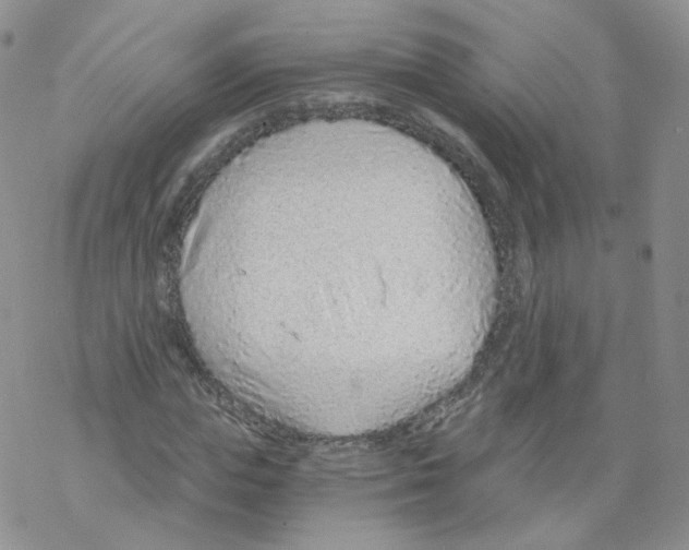 X0000068310823200605192006
