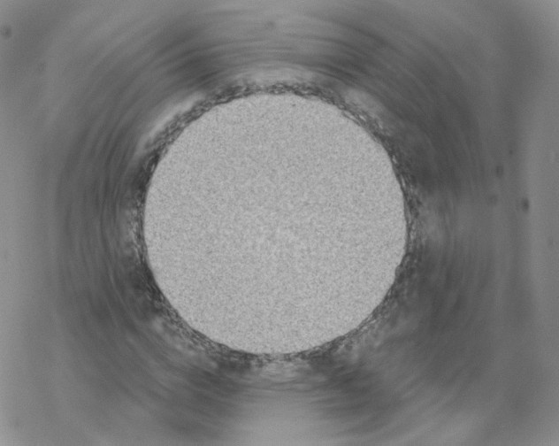 X0000068310824200605192006