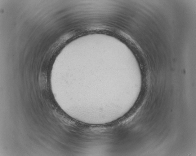 X0000068310825200605192006