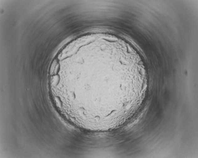 X0000068310853200605192006