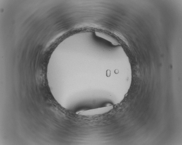 X0000068310872200605192005