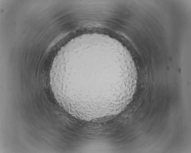 X0000068310919200605192004
