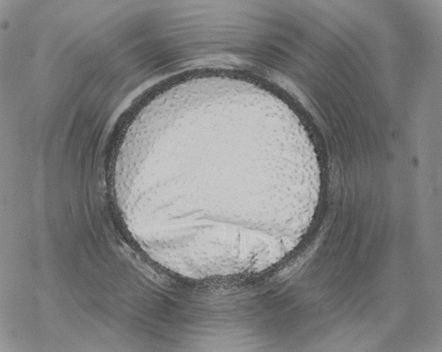 X0000068310923200605192004