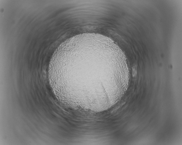 X0000068311011200605192003