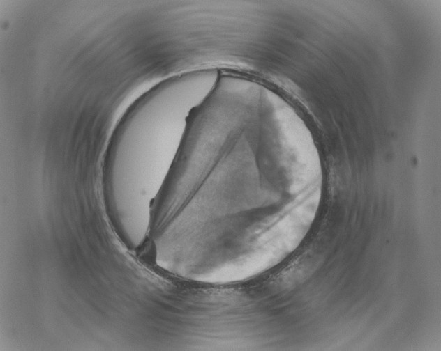 X0000068311024200605192003