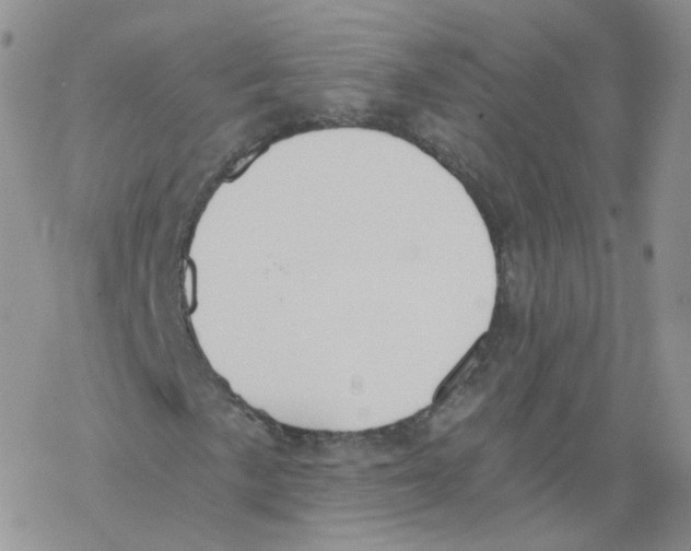 X0000068311057200605192003