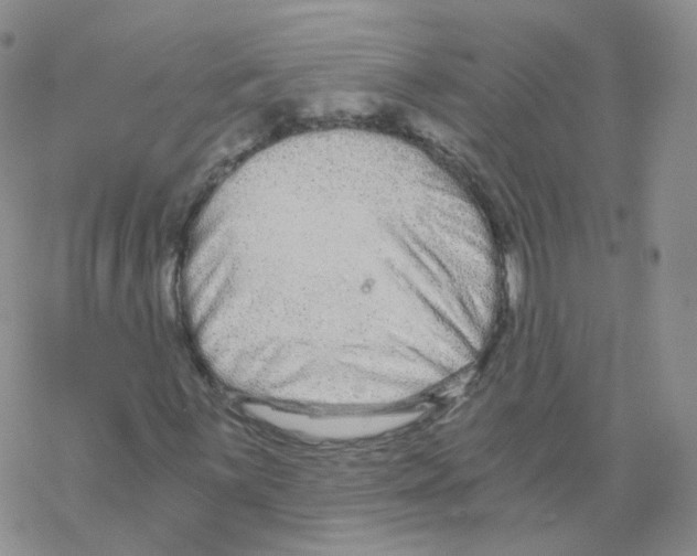 X0000068311059200605192002