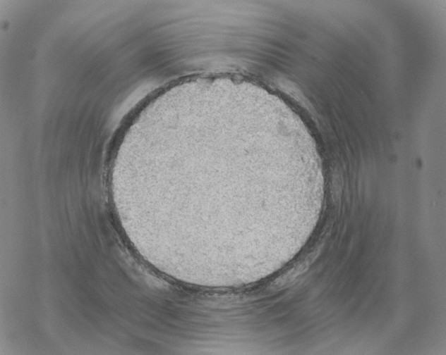 X0000068311071200605192002