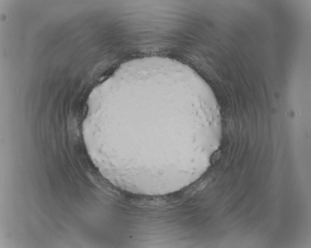 X0000068311106200605192001