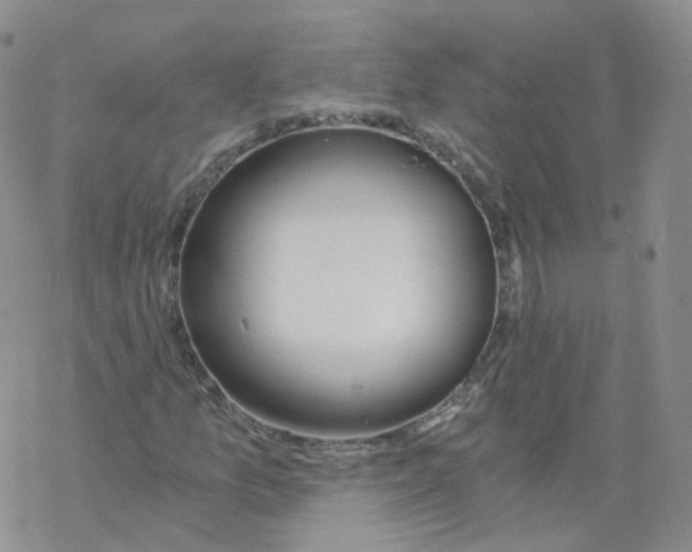 X0000068311157200605192001